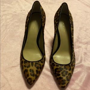 Ann Taylor Mila Leopard Haircalf pump